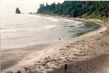 Rialto Beach 