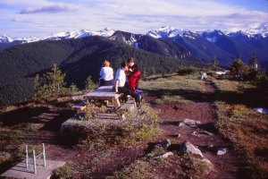 Sun Top Lookout 