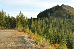 Whistler Creek Road 