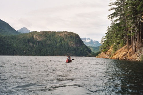 Ross Lake shoreline