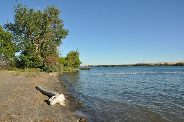 the beach