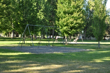 swings