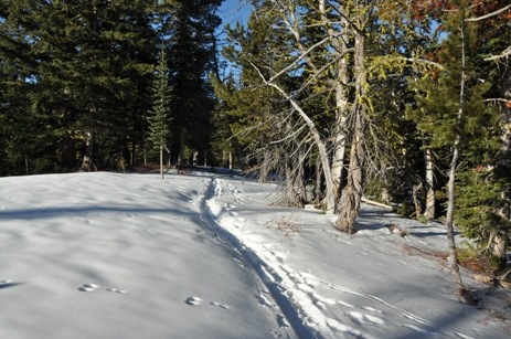 ski trails