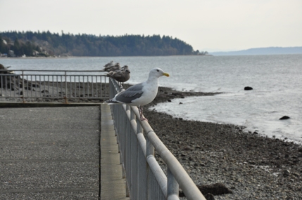 Emma Schmitz viewpoint