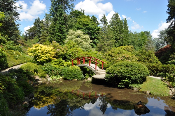 Kubota Garden