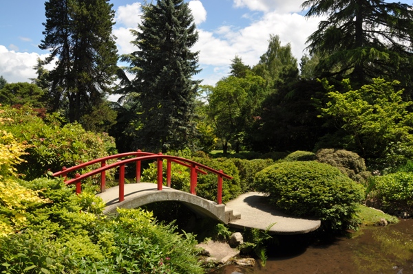 Kubota Garden