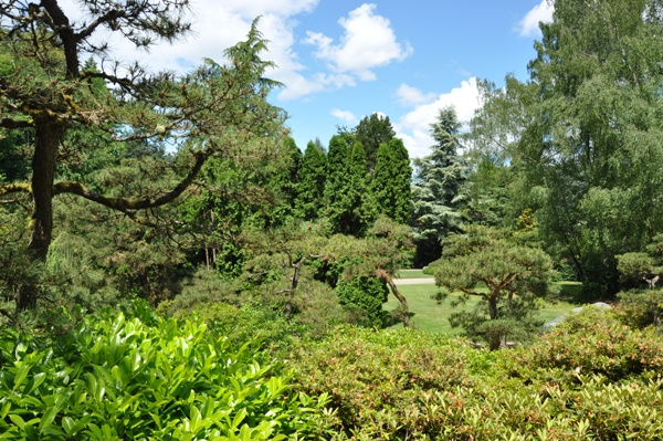 Kubota Garden