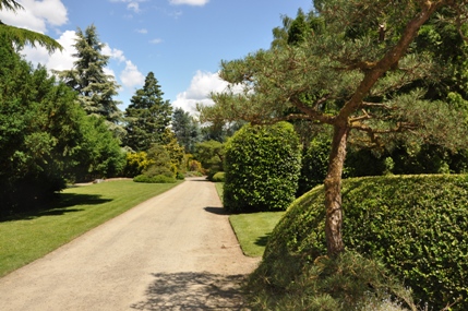 Kubota Garden