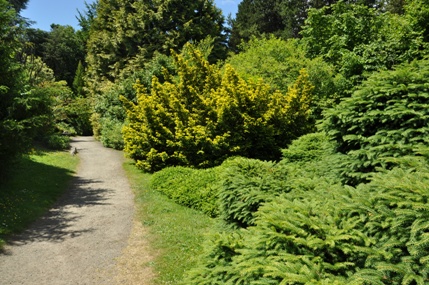 Kubota Garden