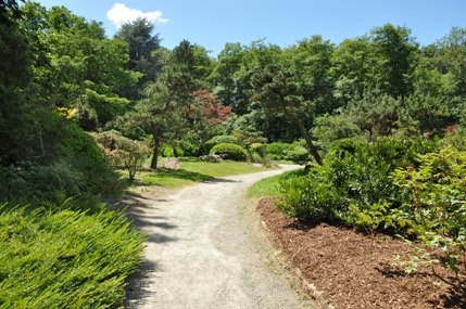 Kubota Garden