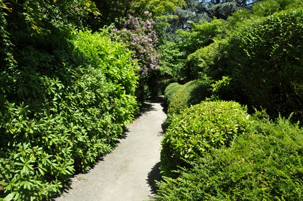 Kubota Garden