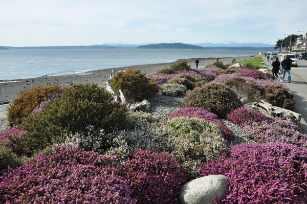 Alki Beach Park 