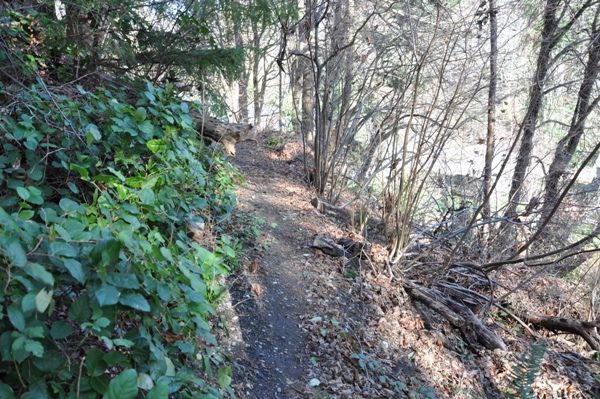 Seola Greenbelt trail