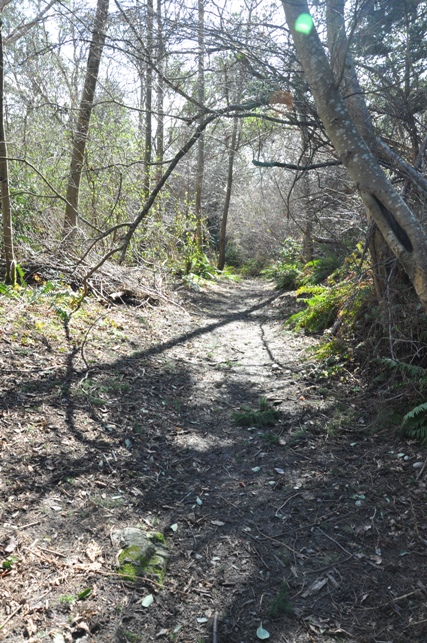 Seola Greenbelt trail