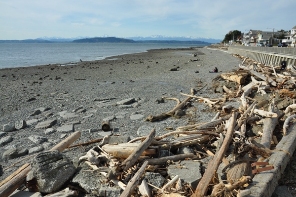 Alki Beach Park 