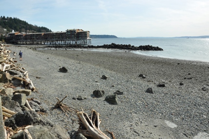 Alki Beach Park 