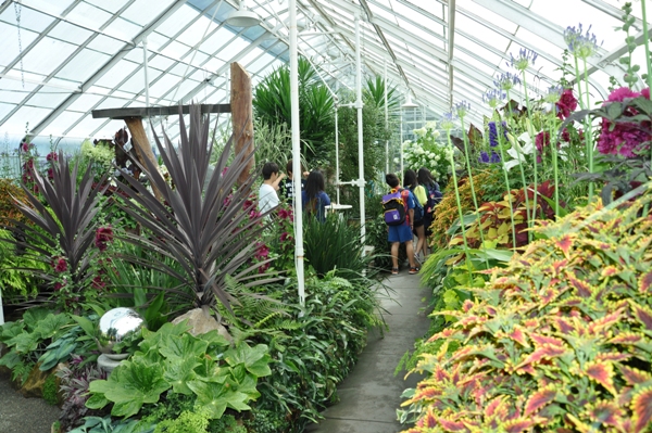 Volunteer Park Conservatory