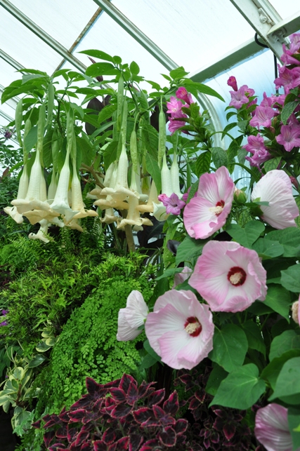 Volunteer Park Conservatory