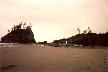 Second Beach arches