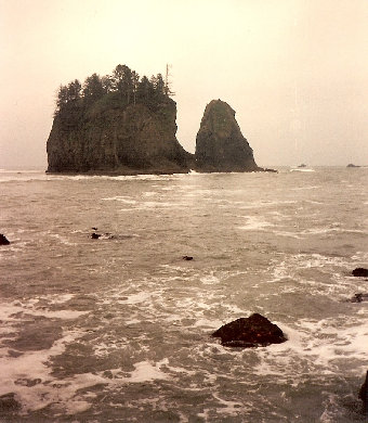 Second Beach Washington