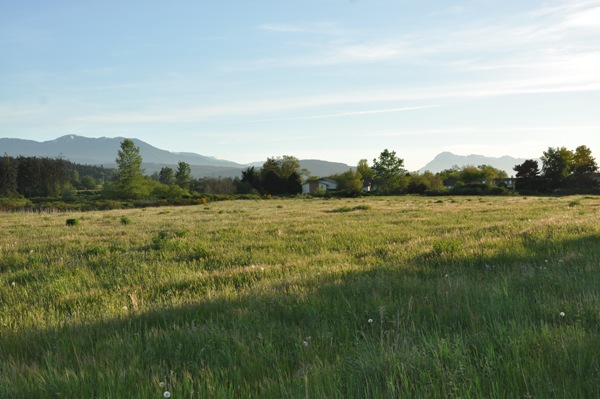 Sequim Scenic Loop 