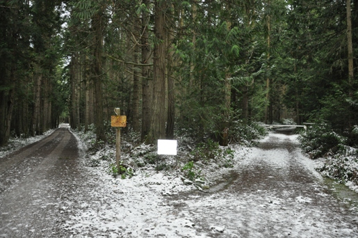 fireweed road