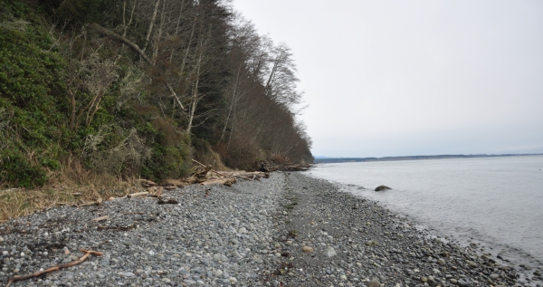 juan de fuca beach