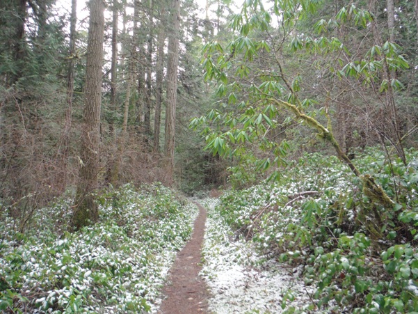 Manzanita Trail