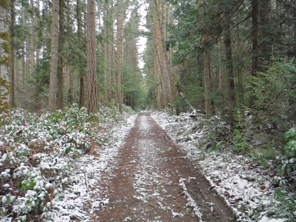 Miller Peninsula Property State Park
