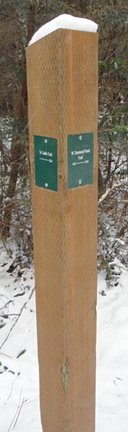 signs