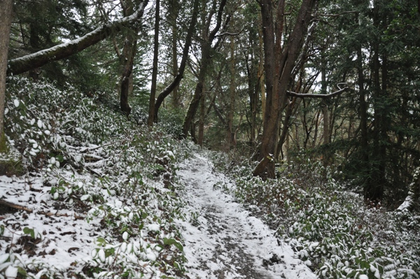 Diamond Point Trail