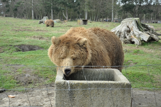 Olympic Game Farm