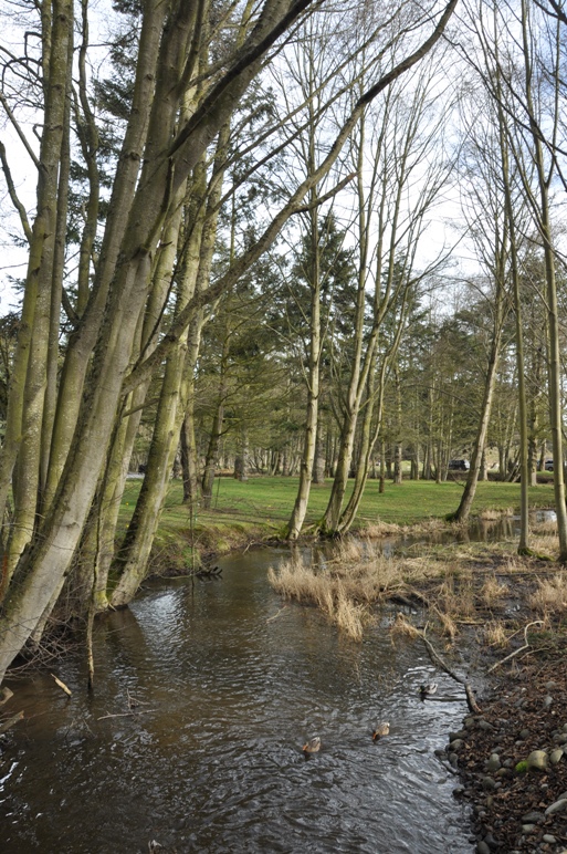 olympic game farm