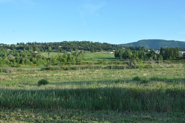 Sequim Scenic Loop 