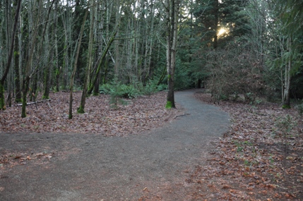 boeing creek park