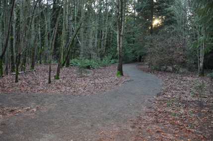 boeing creek park