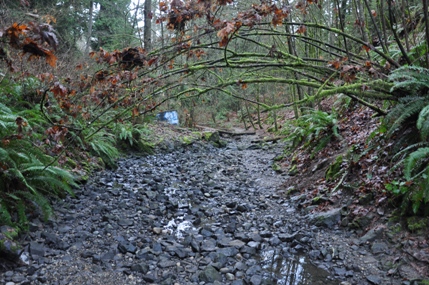 boeing creek park