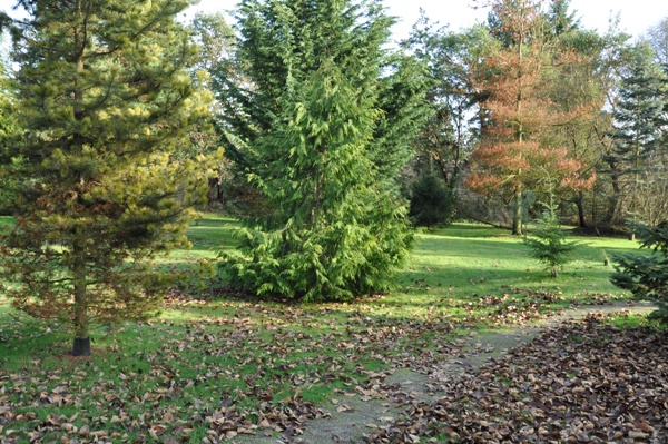 Pacific Northwest Conifer Arboretum