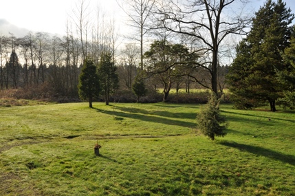 ronald bog park