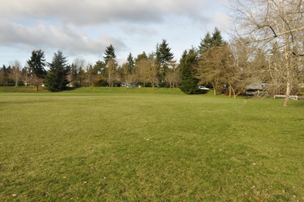 ronald bog park