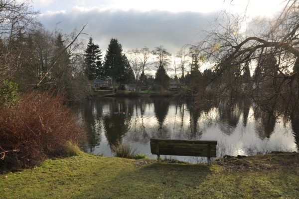 ronald bog park