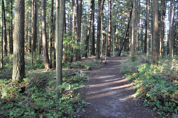 shoreview park