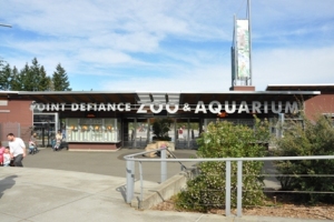 Point Defience Zoo