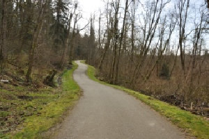 soos creek trail