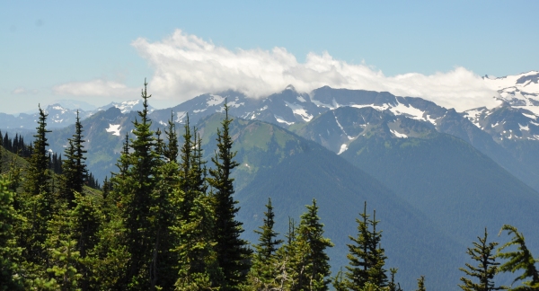 cowlitz chimney