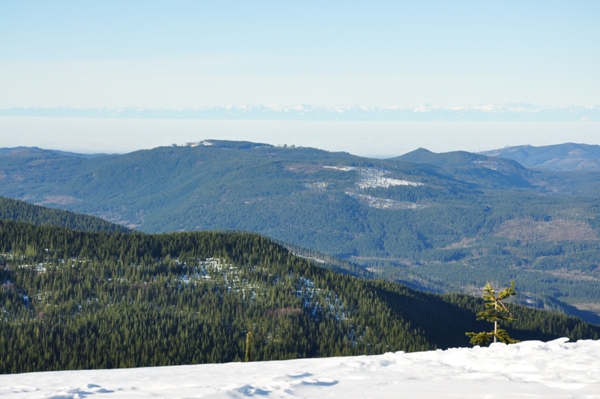 olympic mountains