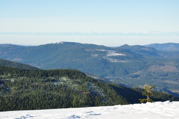 olympic mountains