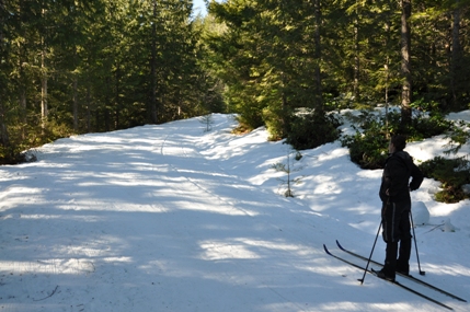 mount tahoma ski