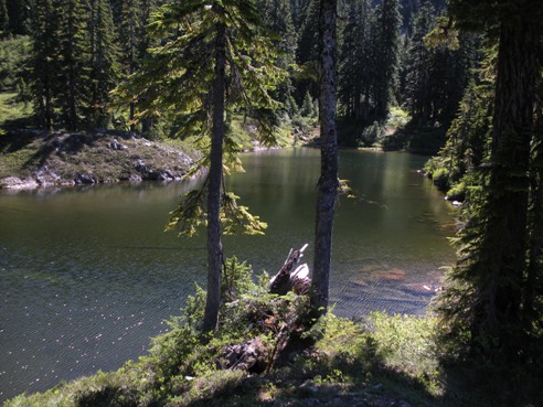 Avalanche Lake