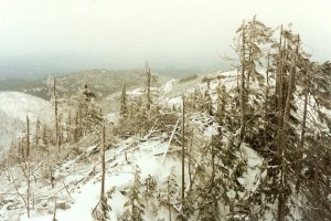 Burnt Mountain